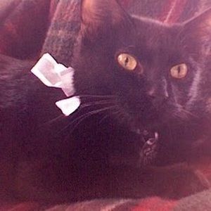 Meet your Posher, Joan